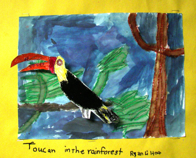 Toucan in the Rain Forest