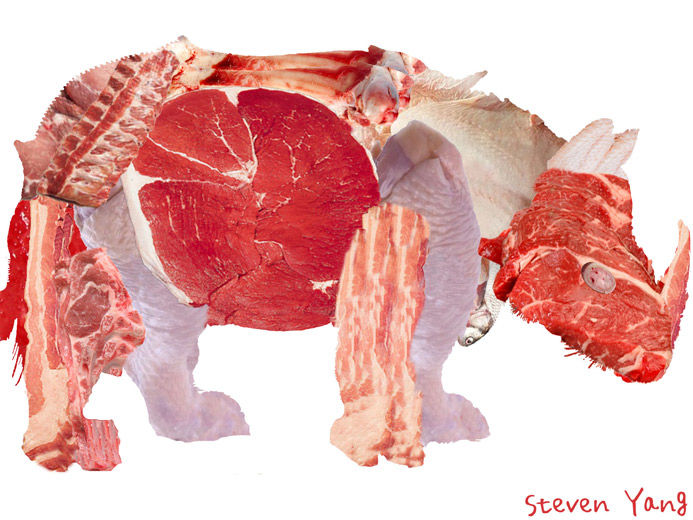 Meaty Rhino