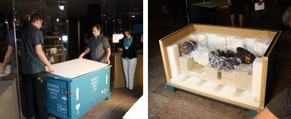 Pigorini Mangaaka being unpacked upon arrival at the Metropolitan