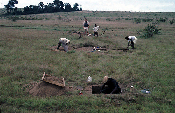 Conde excavation