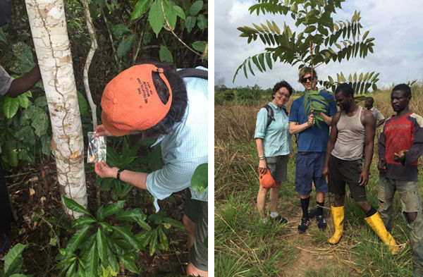 Left: Conservator holding sample next to tree. Right: Group next to tree branch