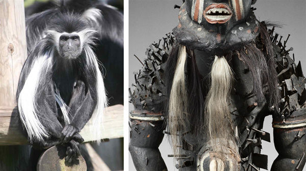 Left: Colobus monkey. Right: Detail of power figure showing monkey hair