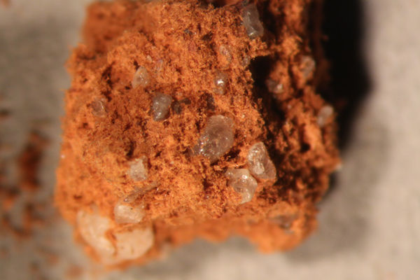 Redwood pigment