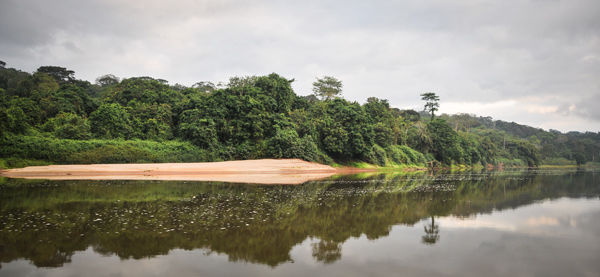 Kouilou River south of Kakamoeka