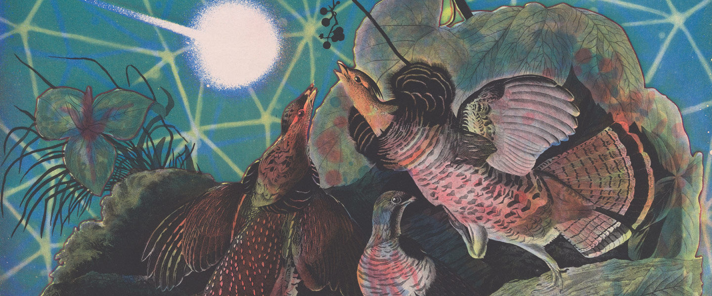Detail view of a color etching of various birds in a mysterious underwater environment