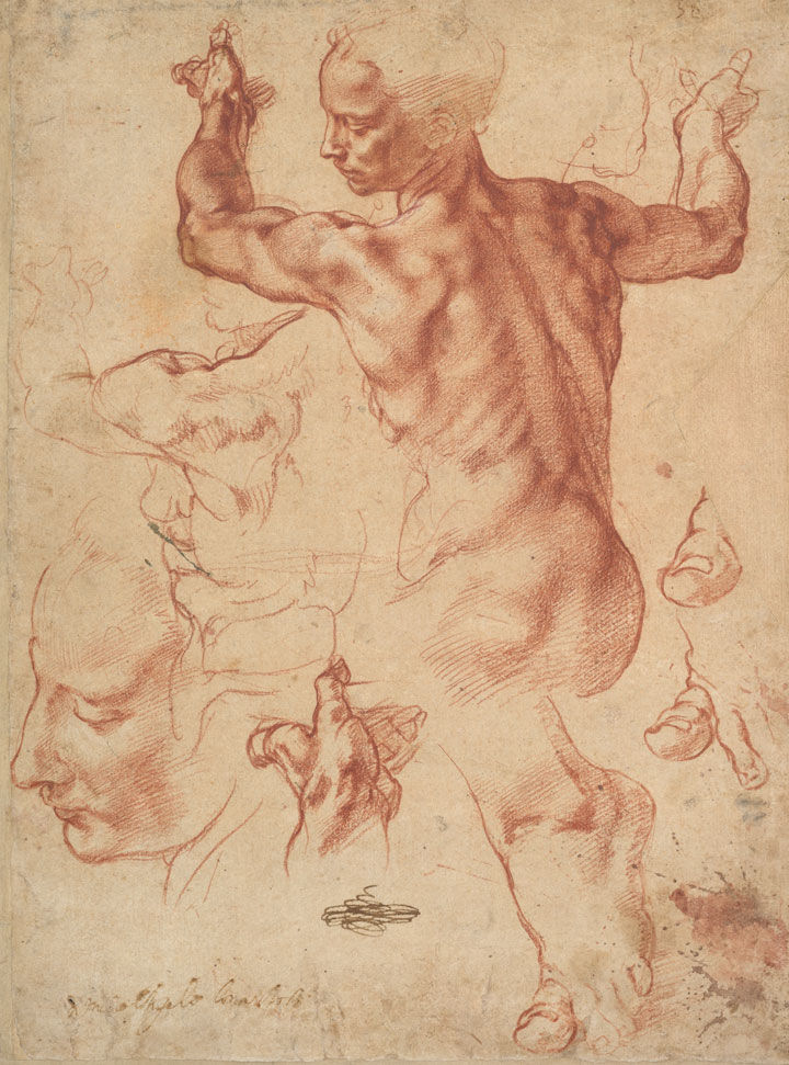 Red chalk drawing by Michelangelo of the Libyan Sibyl from the Sistine ceiling