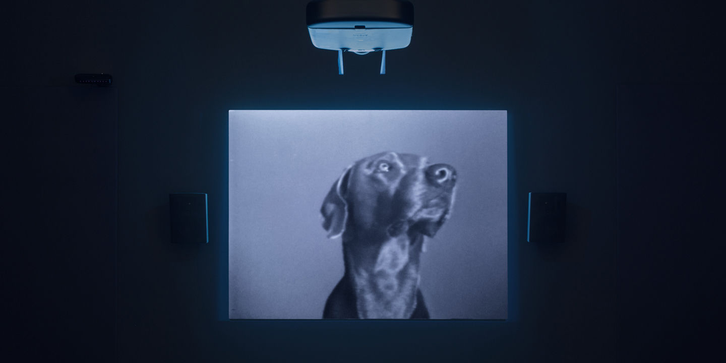 No Dogs Allowed: How William Wegman Broke the Rules of Conceptual Art