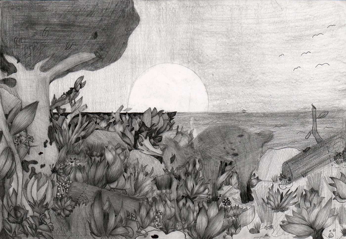 drawing of a sunrise over the horizon.