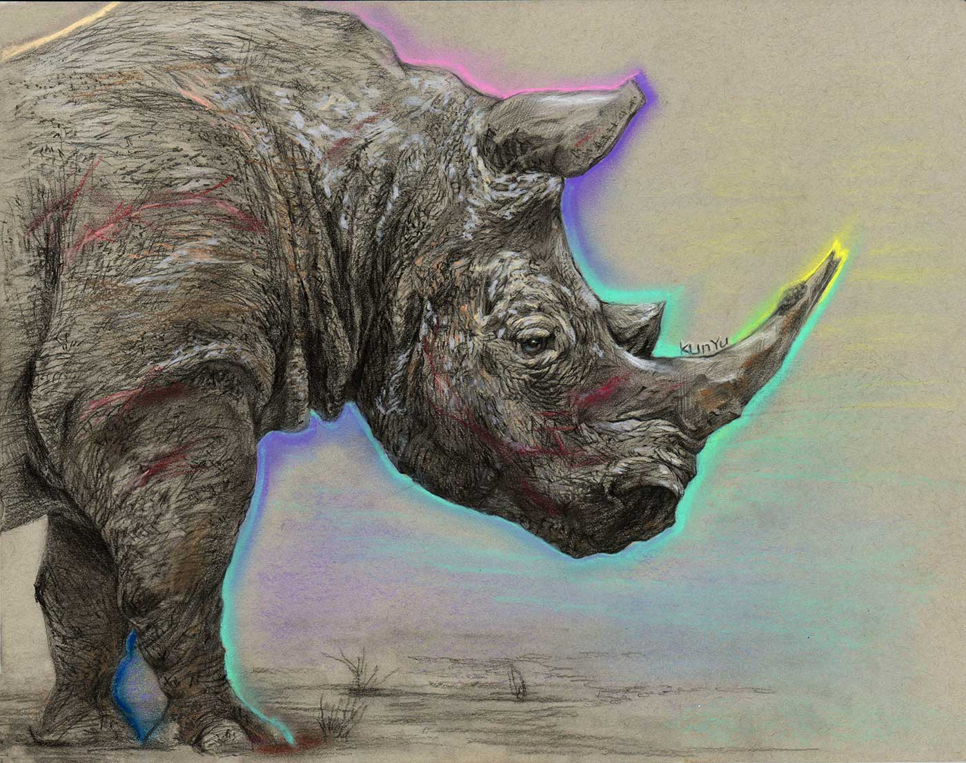 Drawing of a rhinoceros with a colorful line around its silhouette.