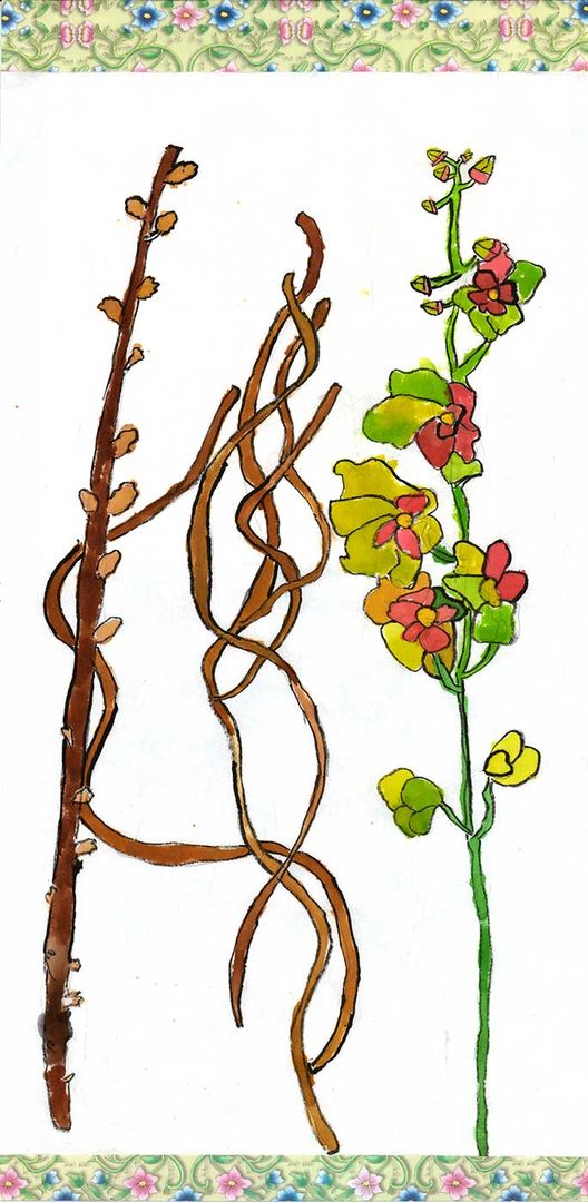 drawing of a branch, leaves, and flowers.