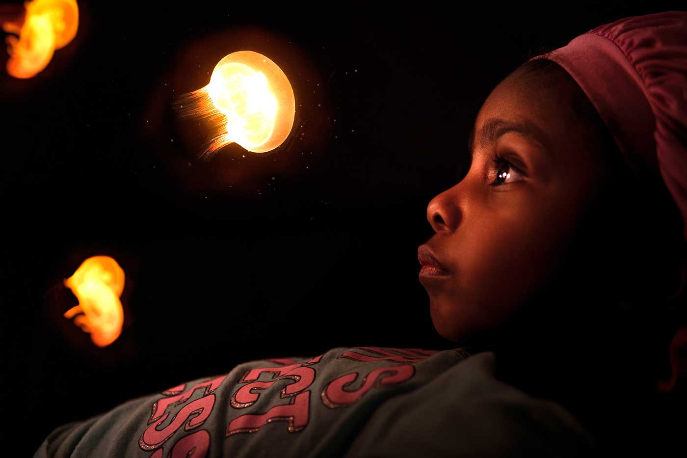 photograph of a young girl in the dark looking at yellow glowy fish.