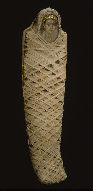 Mummy with an inserted panel portrait of a youth