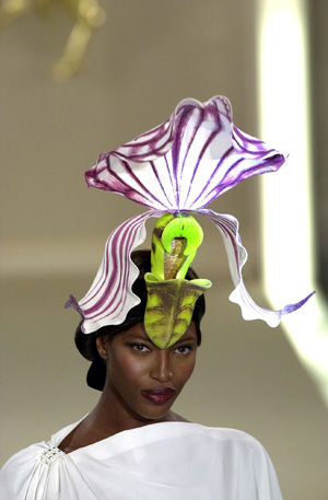 Paphiopedilum Philippinense Orchid Hat