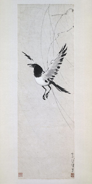 Flying Magpie