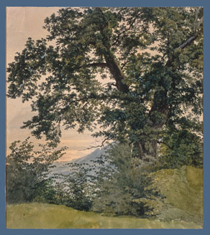 Large Tree before a Landscape
