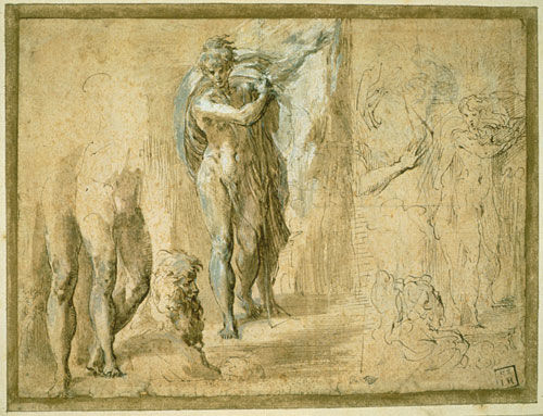 Studies of the Baptist Preaching