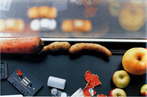 Still Life, New York