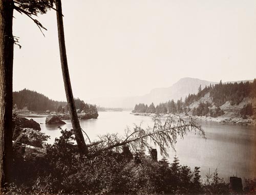 View on the Columbia, Cascades