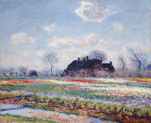 Tulip Fields at Sassenheim, near Leiden