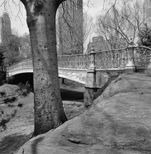 Central Park, New York City