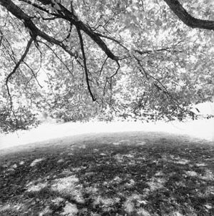 Rockwood, Tarrytown, New York