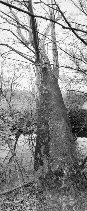 Cherokee Park, Louisville, Kentucky
