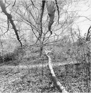 Cherokee Park, Louisville, Kentucky