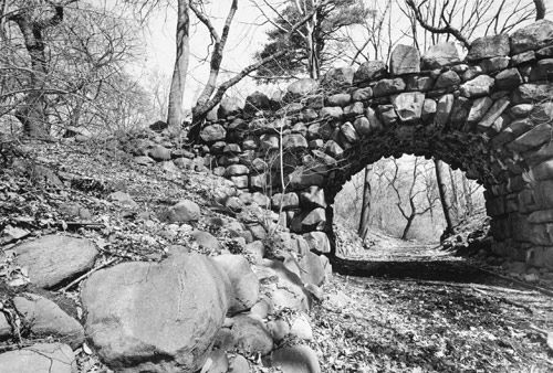 Prospect Park, Brooklyn, New York