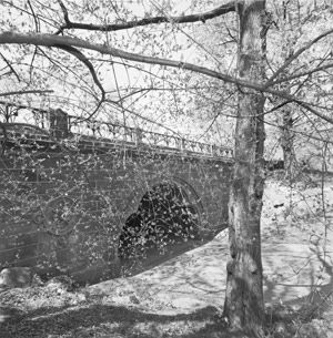 Central Park, New York City