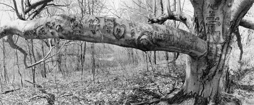 Cherokee Park, Louisville, Kentucky