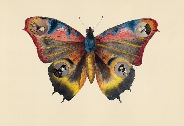 Untitled page from the <i>Madame B</i> Album