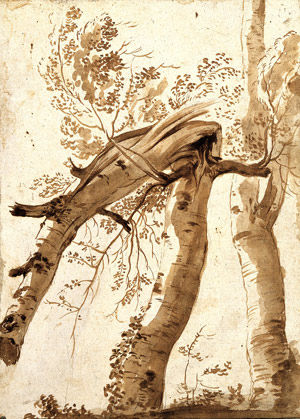 Two Birch Trees, One Broken