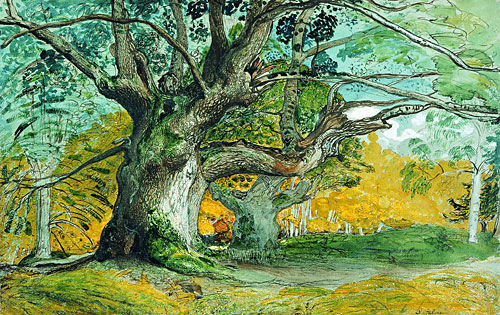 Oak Trees, Lullingstone Park