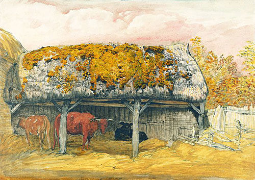 A Cow-Lodge with a Mossy Roof