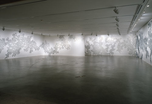 Untitled (Mylar) (detail)