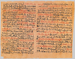 The Edwin Smith Papyrus (columns 6–7)