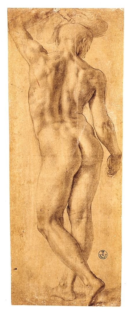 Standing Nude Seen from the Rear