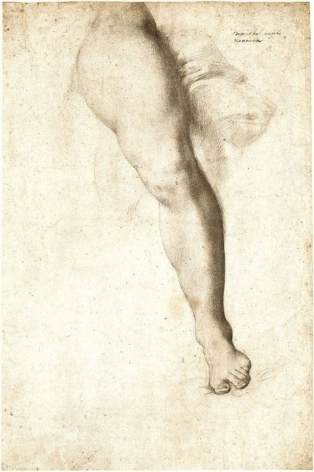 Study of a Left Leg and Drapery