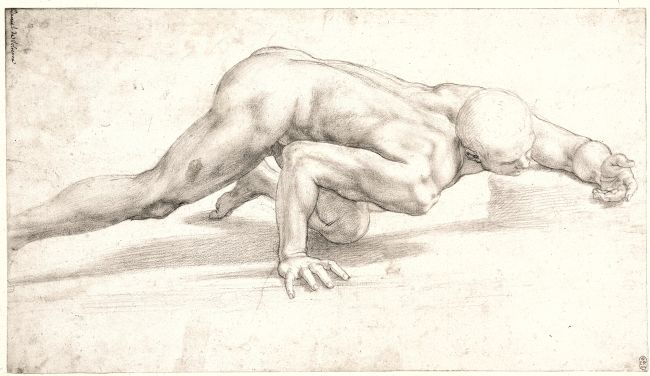 Crawling Male Nude