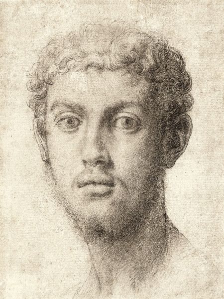Head of a Young Man