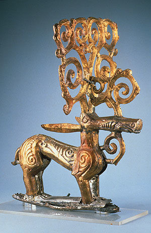 Stag