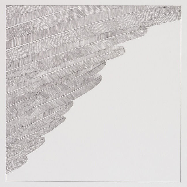 Framed Section of an Angel's Wing