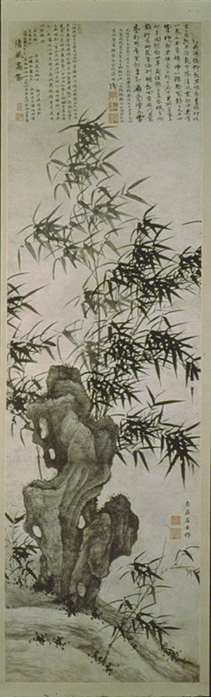 Bamboo in Wind