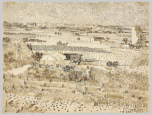 Harvest in Provence