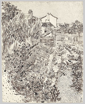 Cottage Garden