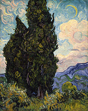 Cypresses