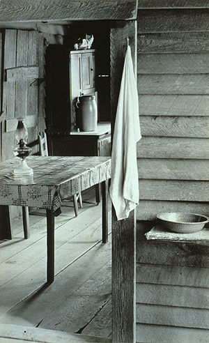 [Burroughs Family Cabin, Hale County, Alabama]