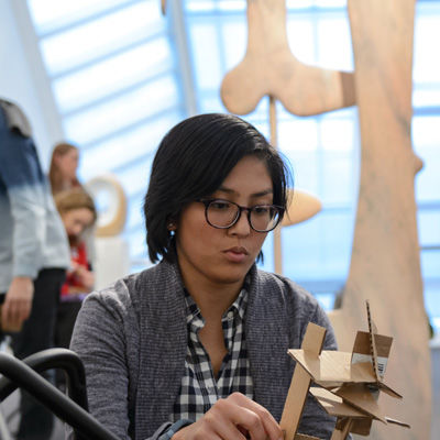 Educators in the K-12 educator programs