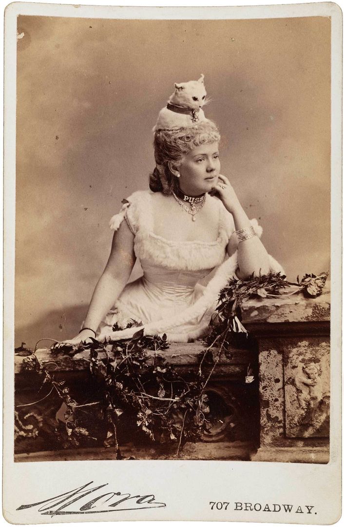 A photograph of a woman wearing a stuffed cat on her head