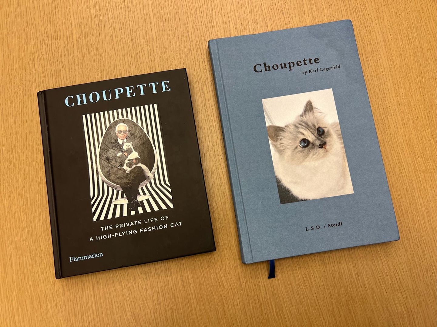 Two covers featuring Lagerfeld's cat